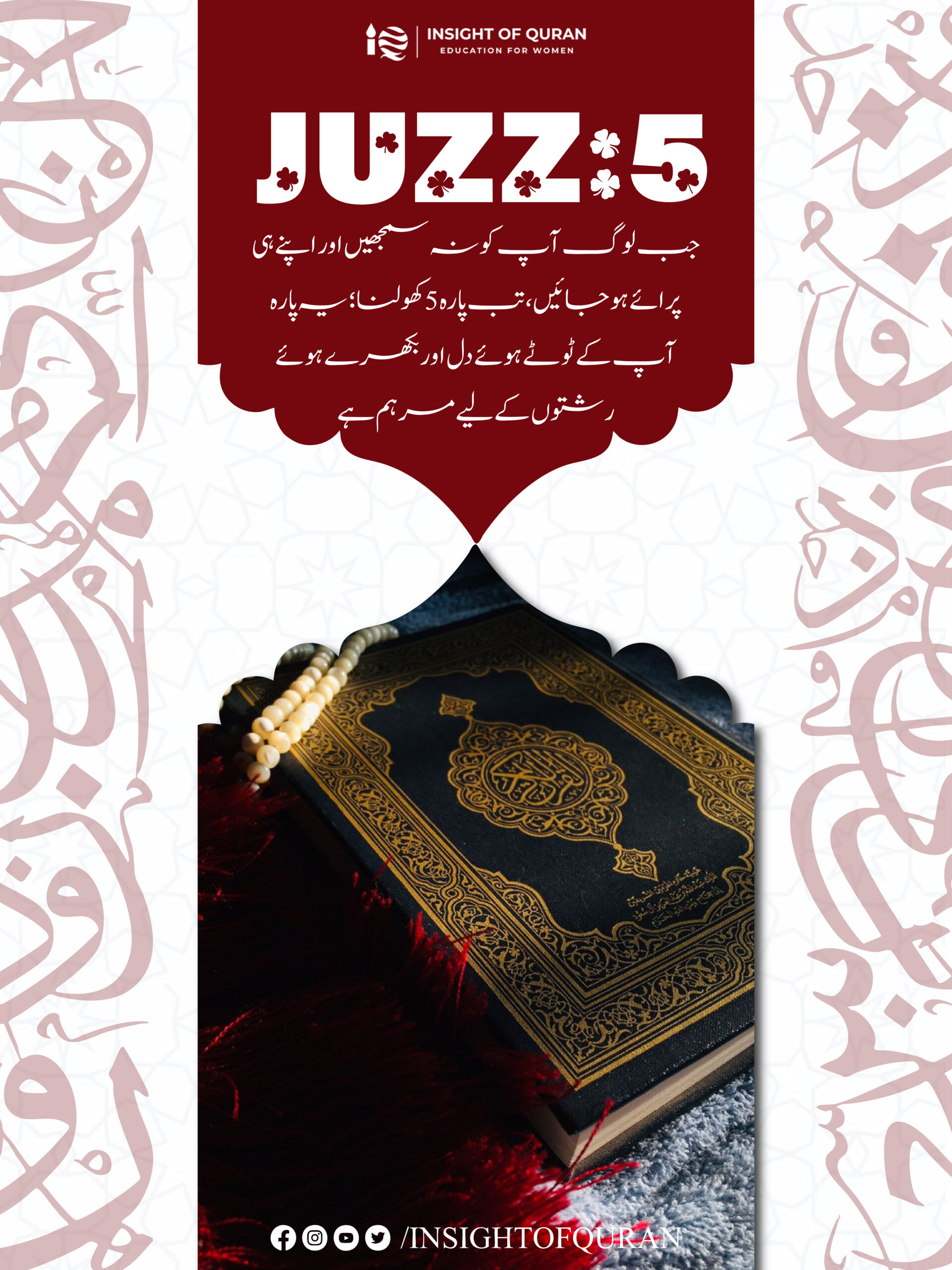 ioq templet [Recovered]-19.jpg