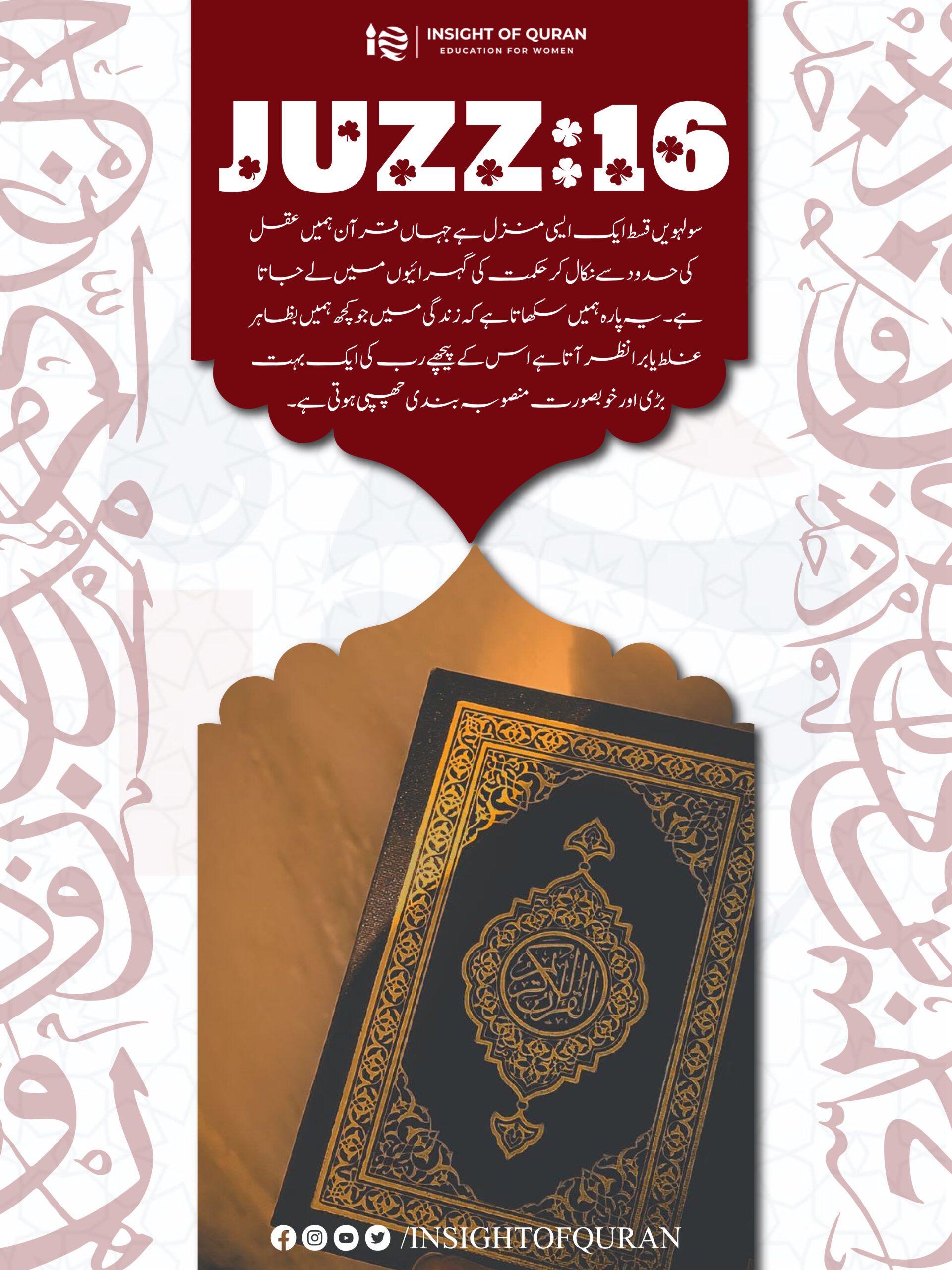 ioq templet [Recovered]-20.jpg