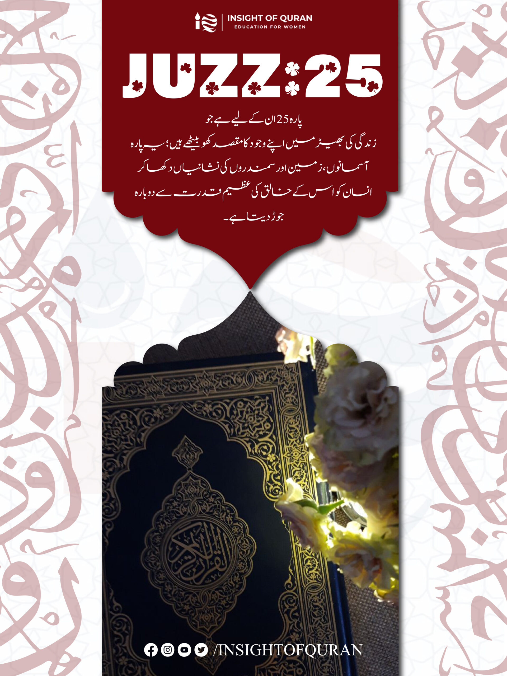 ioq templet [Recovered]-33.jpg